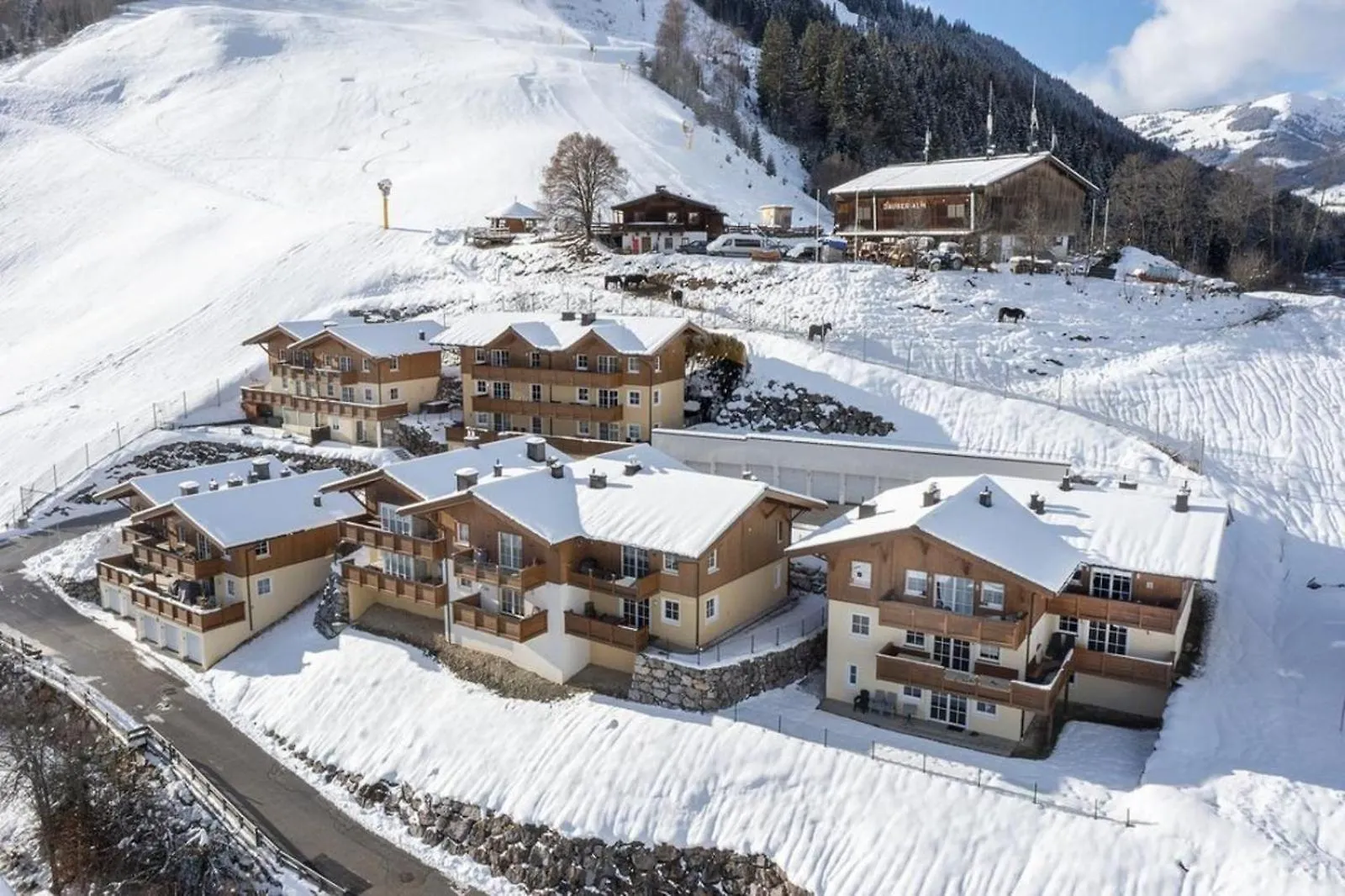 度假居 Alpen Resort Saalbach D4